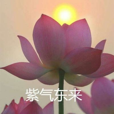 行路难·其一
